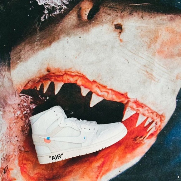 Meet your Posher, Omar - Picture 1 of 1